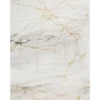 Marble Gold SPC Falpanel R154 A W