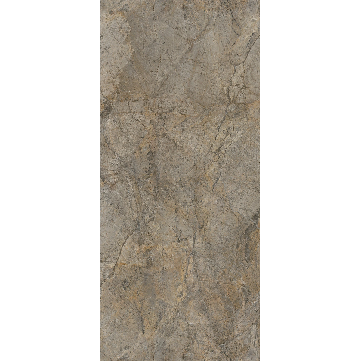 Rainforest Brown SPC Falpanel R104 W